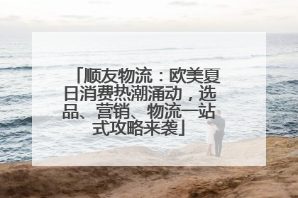顺友物流：欧美夏日消费热潮涌动，选品、营销、物流一站式攻略来袭