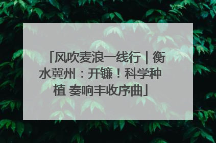 风吹麦浪一线行｜衡水冀州：开镰！科学种植 奏响丰收序曲