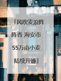 风吹麦浪阵阵香 海安市55万亩小麦陆续开镰