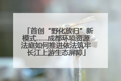 首创“野化放归”新模式……成都环境资源法庭如何推进依法筑牢长江上游生态屏障