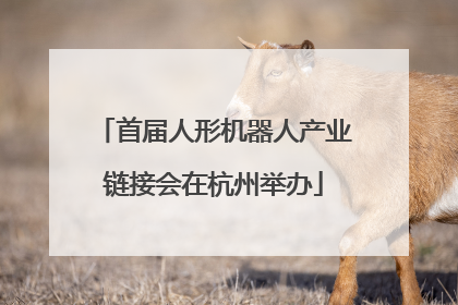 首届人形机器人产业链接会在杭州举办