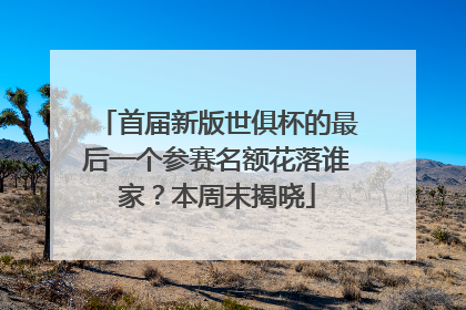 首届新版世俱杯的最后一个参赛名额花落谁家？本周末揭晓
