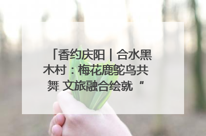 香约庆阳｜合水黑木村：梅花鹿鸵鸟共舞 文旅融合绘就“诗与远方”