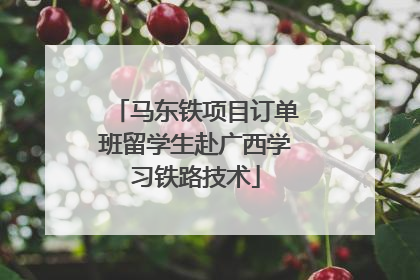 马东铁项目订单班留学生赴广西学习铁路技术