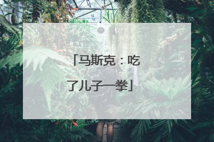 马斯克：吃了儿子一拳