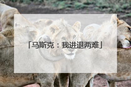 马斯克：我进退两难