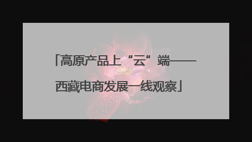 高原产品上“云”端——西藏电商发展一线观察
