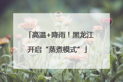 高温+降雨！黑龙江开启“蒸煮模式”