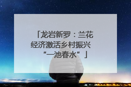 龙岩新罗：兰花经济激活乡村振兴“一池春水”