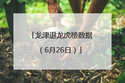 龙津退龙虎榜数据（6月26日）