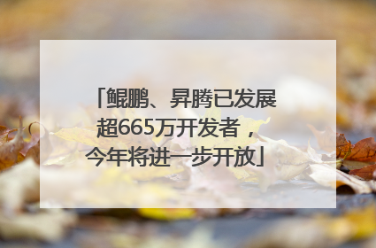 鲲鹏、昇腾已发展超665万开发者，今年将进一步开放