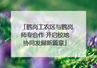 鹤岗工农区与鹤岗师专合作 开启校地协同发展新篇章