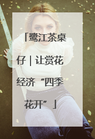 鹭江茶桌仔｜让赏花经济“四季花开”