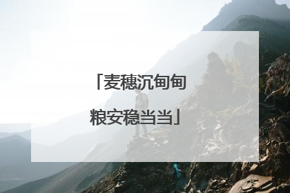 麦穗沉甸甸 粮安稳当当