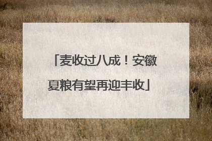 麦收过八成！安徽夏粮有望再迎丰收