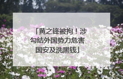 黄之锋被拘！涉勾结外国势力危害国安及洗黑钱