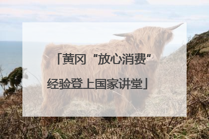 黄冈“放心消费”经验登上国家讲堂