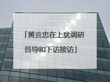 黄喜忠在上犹调研督导和下访接访
