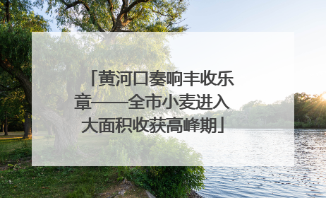 黄河口奏响丰收乐章——全市小麦进入大面积收获高峰期