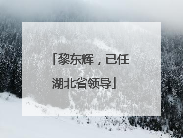 黎东辉，已任湖北省领导