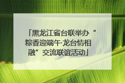 黑龙江省台联举办“粽香迎端午·龙台情相融”交流联谊活动