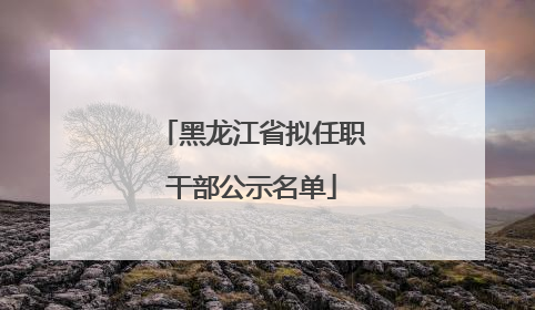 黑龙江省拟任职干部公示名单