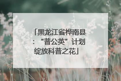 黑龙江省桦南县：“普公英”计划绽放科普之花