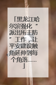 黑龙江哈尔滨强化“派出所主防”工作，让平安建设触角延伸到每个角落……