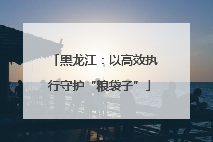 黑龙江：以高效执行守护“粮袋子”