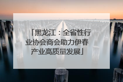 黑龙江：全省性行业协会商会助力伊春产业高质量发展