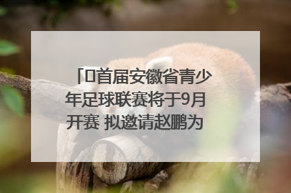 ﻿首届安徽省青少年足球联赛将于9月开赛 拟邀请赵鹏为先导赛开球