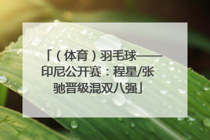 （体育）羽毛球——印尼公开赛：程星/张驰晋级混双八强
