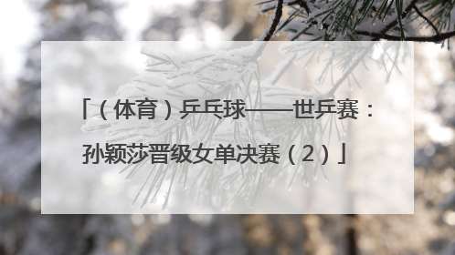 （体育）乒乓球——世乒赛：孙颖莎晋级女单决赛（2）