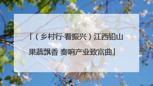 （乡村行·看振兴）江西铅山果蔬飘香 奏响产业致富曲