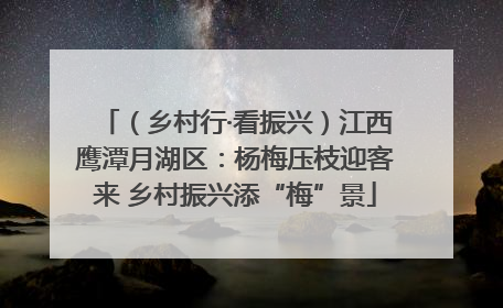 (乡村行·看振兴)江西鹰潭月湖区:杨梅压枝迎客来 乡村振兴添“梅”景