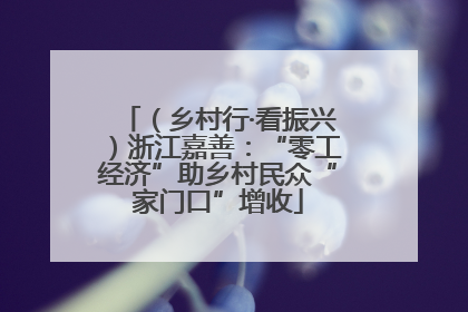（乡村行·看振兴）浙江嘉善：“零工经济”助乡村民众“家门口”增收