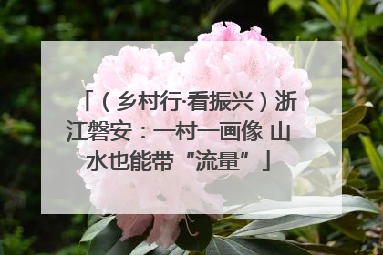 （乡村行·看振兴）浙江磐安：一村一画像 山水也能带“流量”