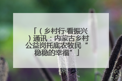 （乡村行·看振兴）通讯：内蒙古乡村公益岗托底农牧民“稳稳的幸福”