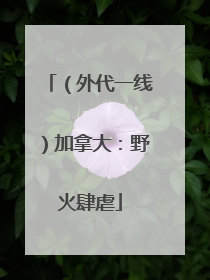 （外代一线）加拿大：野火肆虐
