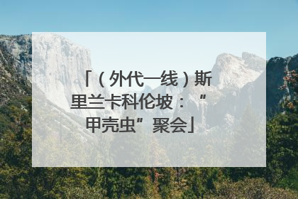 （外代一线）斯里兰卡科伦坡：“甲壳虫”聚会