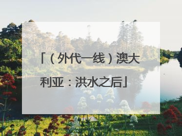 （外代一线）澳大利亚：洪水之后