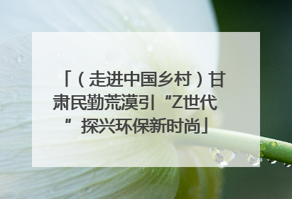 （走进中国乡村）甘肃民勤荒漠引“Z世代”探兴环保新时尚