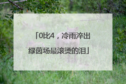 0比4，冷雨淬出绿茵场最滚烫的泪