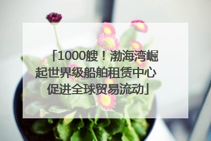 1000艘！渤海湾崛起世界级船舶租赁中心 促进全球贸易流动