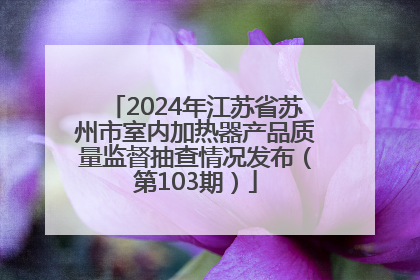 2024年江苏省苏州市室内加热器产品质量监督抽查情况发布（第103期）
