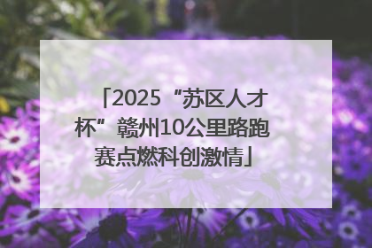 2025“苏区人才杯”赣州10公里路跑赛点燃科创激情