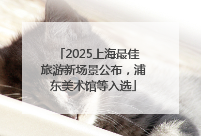 2025上海最佳旅游新场景公布，浦东美术馆等入选
