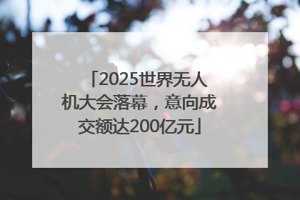 2025世界无人机大会落幕，意向成交额达200亿元