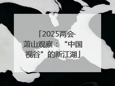 2025两会·萧山观察：“中国视谷”的新江湖
