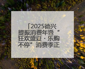 2025德兴提振消费年暨“狂欢盛夏・乐购不停”消费季正式启动（图）